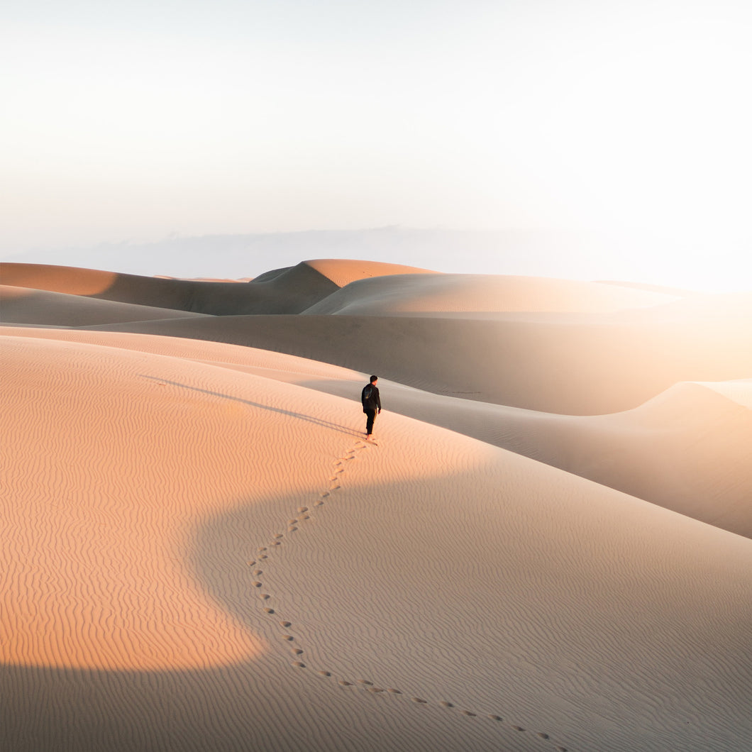 The illusion of progress - graphic wandering the desert.